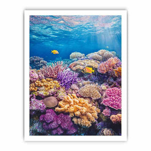 Framed print