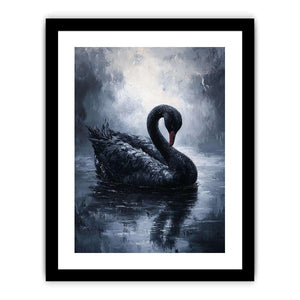Black Swan Art Print