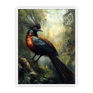 Lyrebird Framed Print