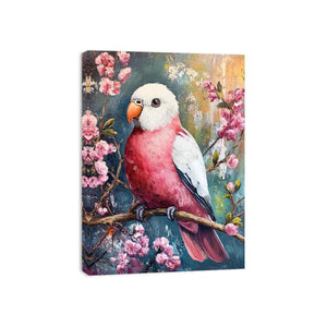 Galah Canvas Print
