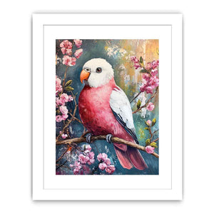 Galah Streched canvas