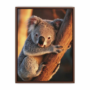 Koala Poster