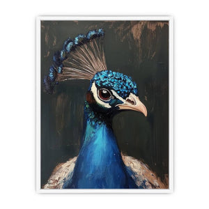 Peacock 21 Framed Print