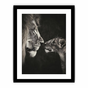 Playful Lion Art Print