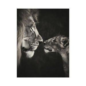 Playful Lion