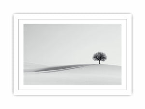 The Lonely Tree Streched canvas