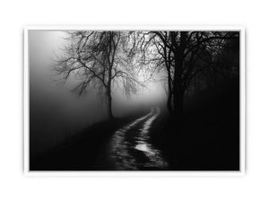 monochrome path Framed Print