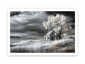 Framed print