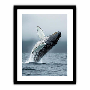 Humpback Whale Art Print