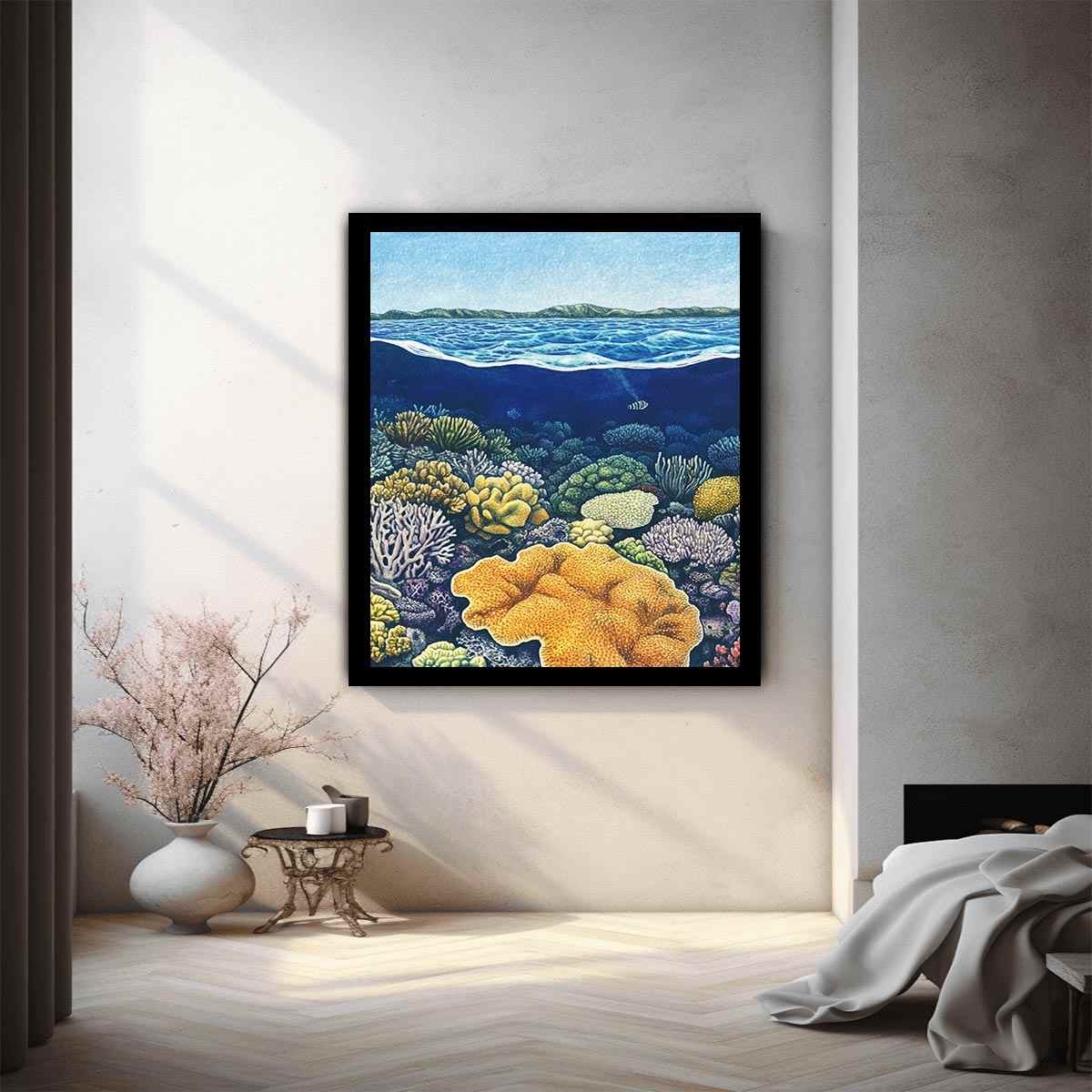 Coral of the Great Barrier Reef