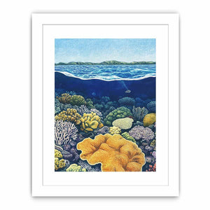 Coral of the Great Barrier Reef Streched canvas