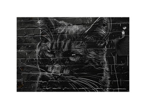 Graffiti Cat