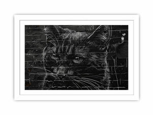 Graffiti Cat Streched canvas