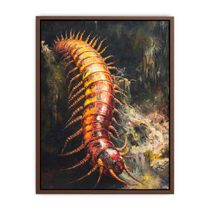 Australian Giant Centipede Poster
