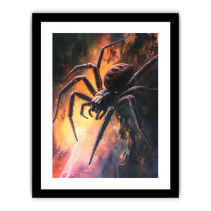 Sydney Funnel-Web Spider Art Print