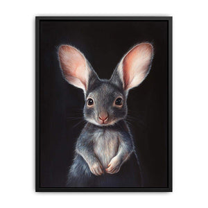 Bilby Painting
