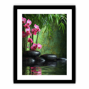 Rock Orchid Art Print