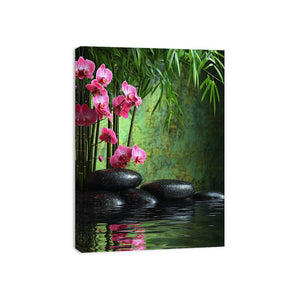 Rock Orchid Canvas Print