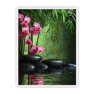 Rock Orchid Framed Print