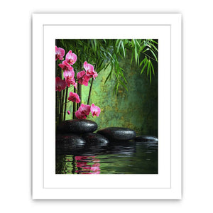 Rock Orchid Streched canvas
