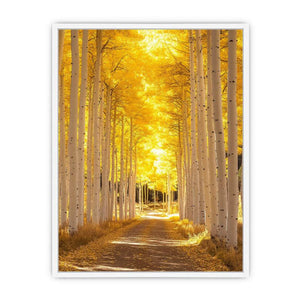 Autumn Reverie Framed Print