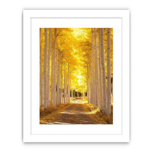 Autumn Reverie Streched canvas
