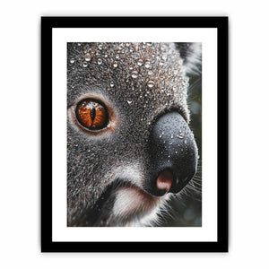 Serene Wanderer Koala Art Print