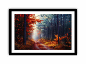 Autumn Forest Art Print