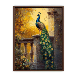 Sunset Glory Peacock Poster
