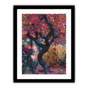 Japenese Maple Tree Art Print