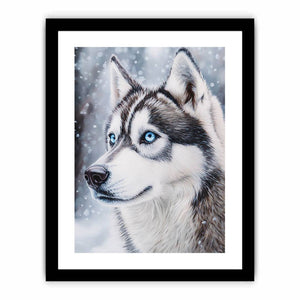 Husky Art Print