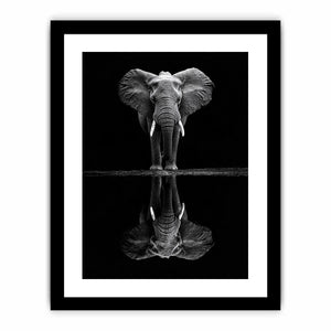 Serenade Of The Elephant Art Print