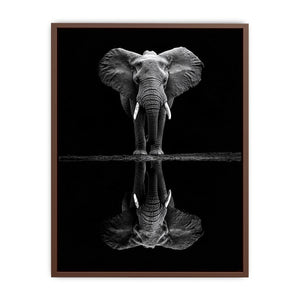 Serenade Of The Elephant Poster