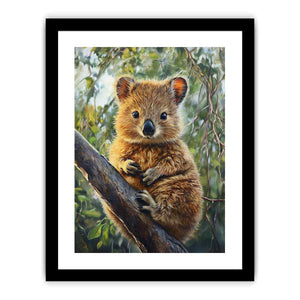 Quokka Art Print