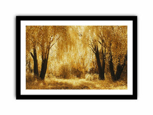 Autumn Gold Art Print