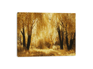 Autumn Gold Canvas Print