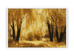 Autumn Gold Framed Print