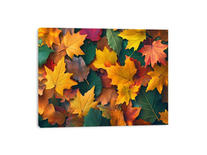 Autum leaves III Canvas Print