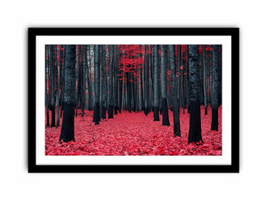 Red Maple Forest Art Print