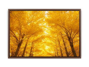 Golden Autumn Forest Poster