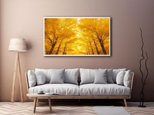 Golden Autumn Forest