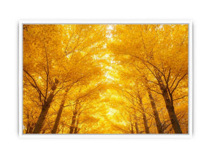 Golden Autumn Forest Framed Print