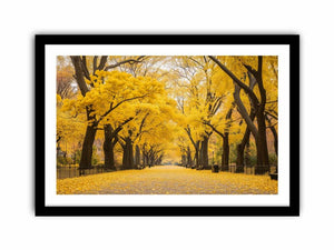 Autumn Scene Art Print