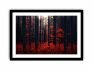 Dense Red Forest Art Print