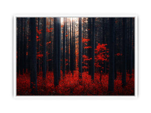 Dense Red Forest Framed Print