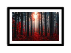 Autumns Depths Art Print