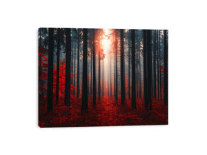 Autumns Depths Canvas Print