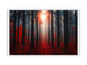 Autumns Depths Framed Print