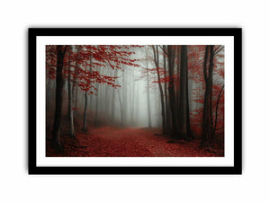 Misty Red Forest Art Print