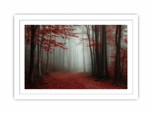 Misty Red Forest Streched canvas